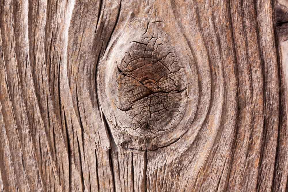 madera de pino con hendiduras 