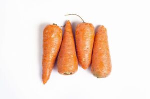 cultivo de zanahoria - características del cultivo de zanahoria