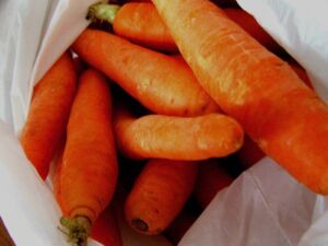 cultivo de zanahoria - características del cultivo de zanahoria