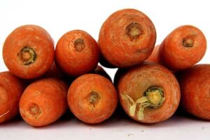 cultivo de zanahoria - características del cultivo de zanahoria