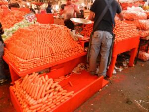 cultivo de zanahoria - importancia del cultivo de zanahoria