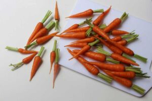 cultivo de zanahoria - importancia del cultivo de zanahoria