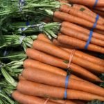 cultivo de zanahoria - importancia del cultivo de zanahoria