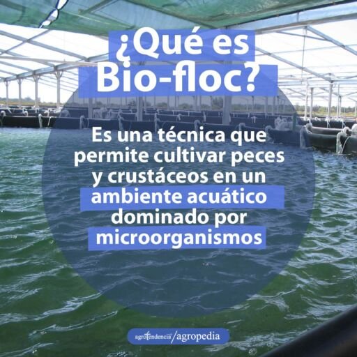 tanque circular con tecnología biofloc
