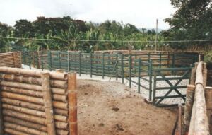 búfalos - instalaciones