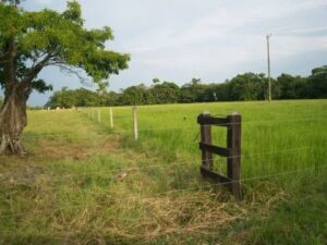 bufalos - instalaciones