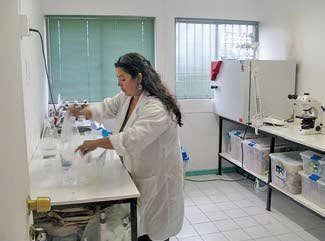 mujer cientifica cultivando macroalgas