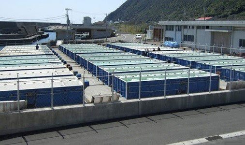tanques rectangulares para el cultivo de macroalgas