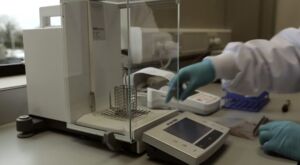 Micotoxinas - micotoxinas en alimentos