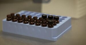 Micotoxinas - micotoxinas en alimentos