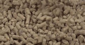 Micotoxinas - secuestrante de micotoxinas