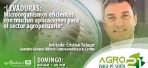 Levaduras. Microorganismos eficientes con muchas aplicaciones para el sector agropecuario