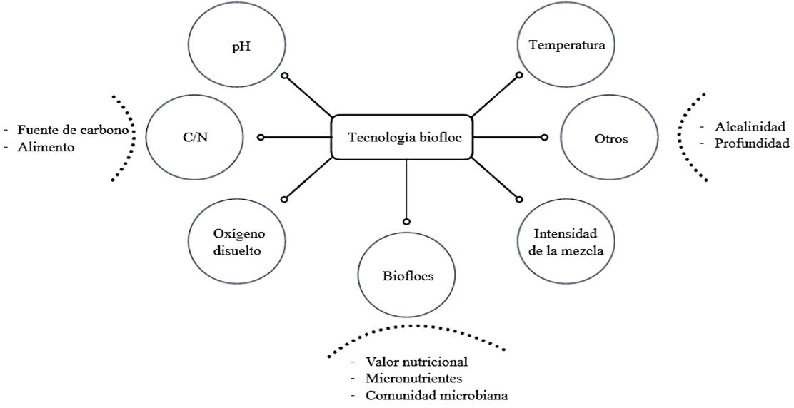 biofloc factores de influencia