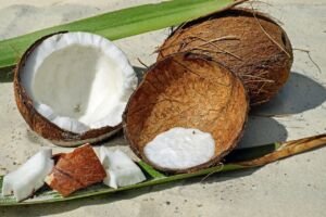 cultivo de coco - condiciones para el cultivo de coco