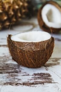 cultivo de coco - condiciones para el cultivo de coco