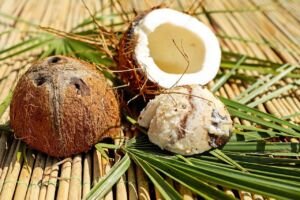 cultivo de coco - condiciones para el cultivo de coco