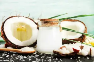cultivo de coco - condiciones para el cultivo de coco