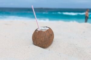 cultivo de coco -condiciones para el cultivo de coco
