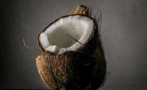 cultivo de coco - condiciones para el cultivo de coco