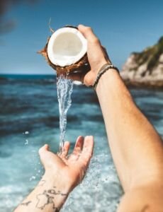 cultivo de coco - condiciones para el cultivo de coco