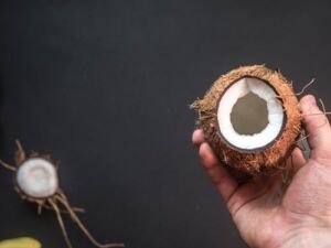 cultivo de coco - condiciones para el cultivo de coco