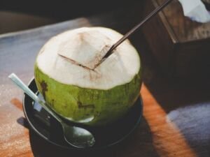 cultivo de coco - condiciones para el cultivo de coco