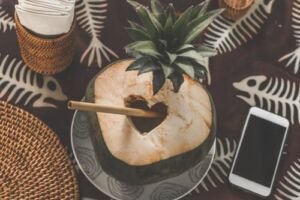 cultivo de coco - condiciones para el cultivo de coco