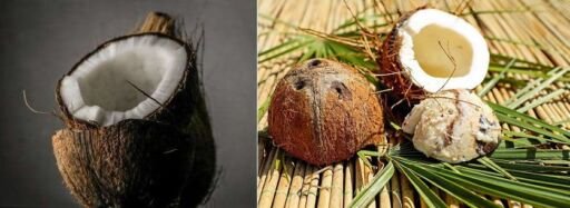 copra de coco