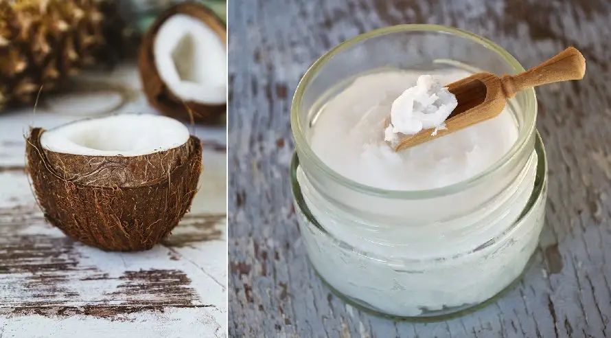 pulpa de coco