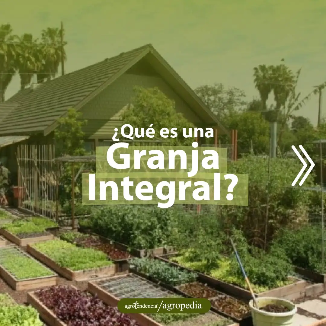 Granja y huerto integral