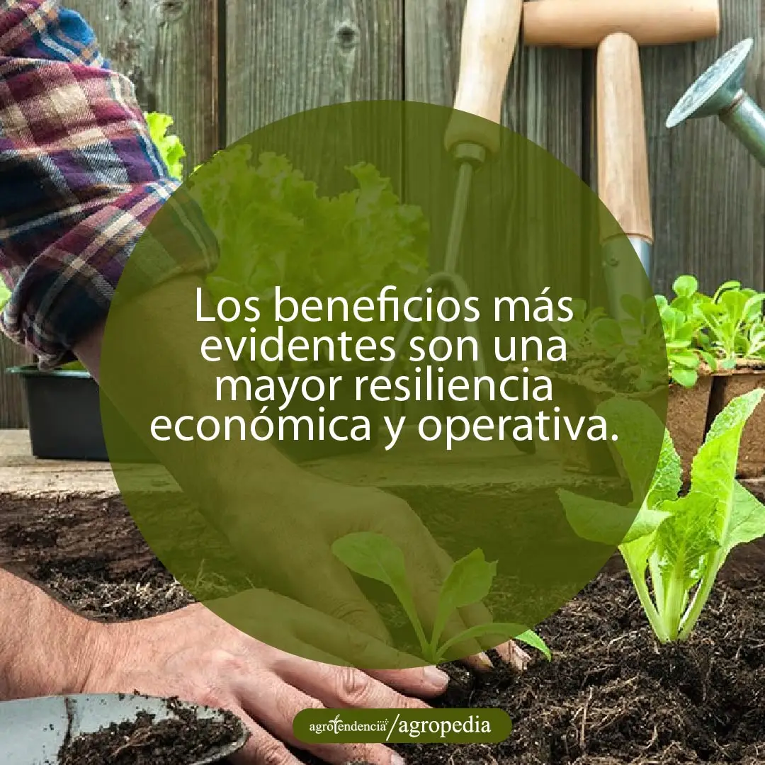 persona cultivando en su granja