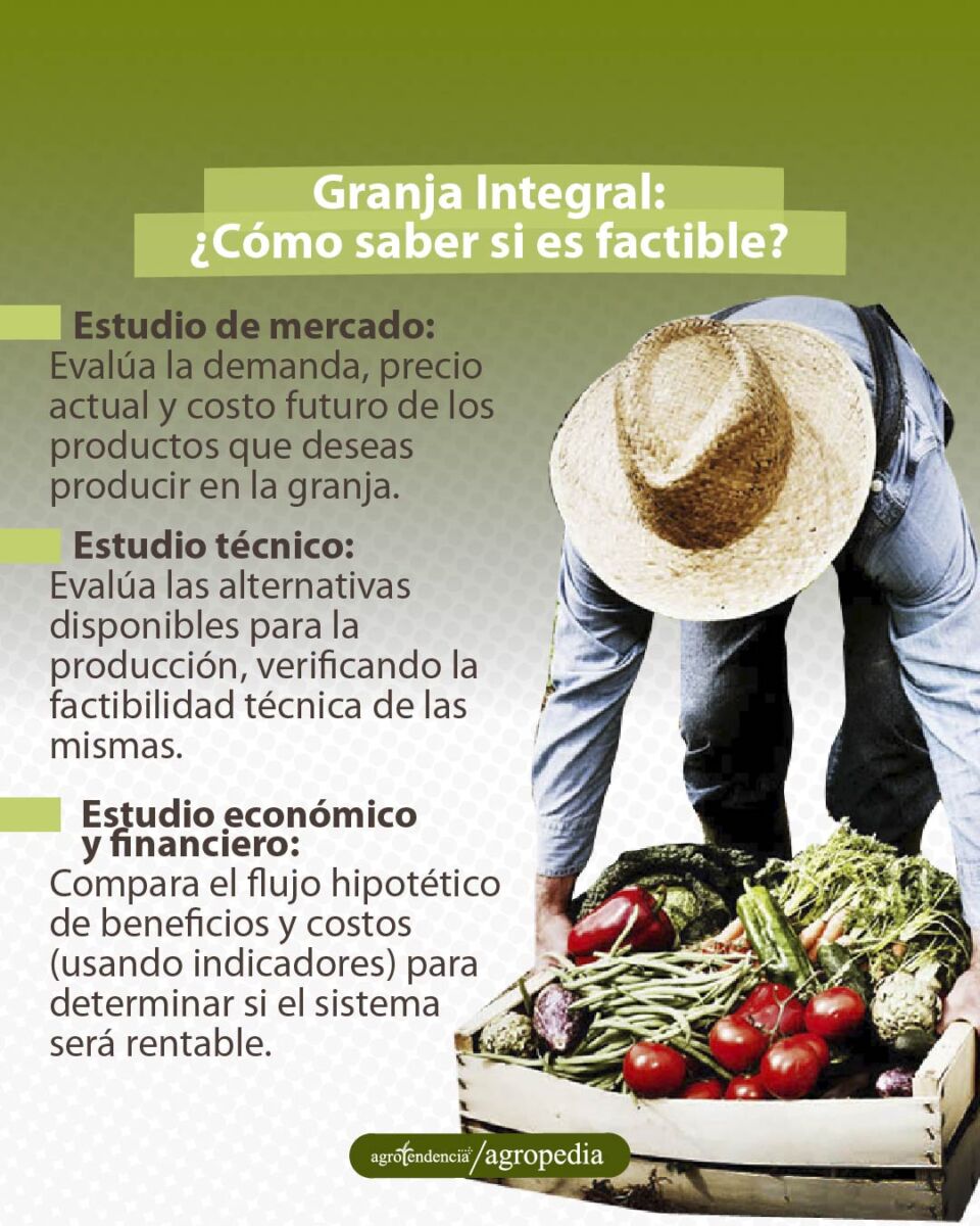 hombre con cesta llena de vegetales productos de una granja integral