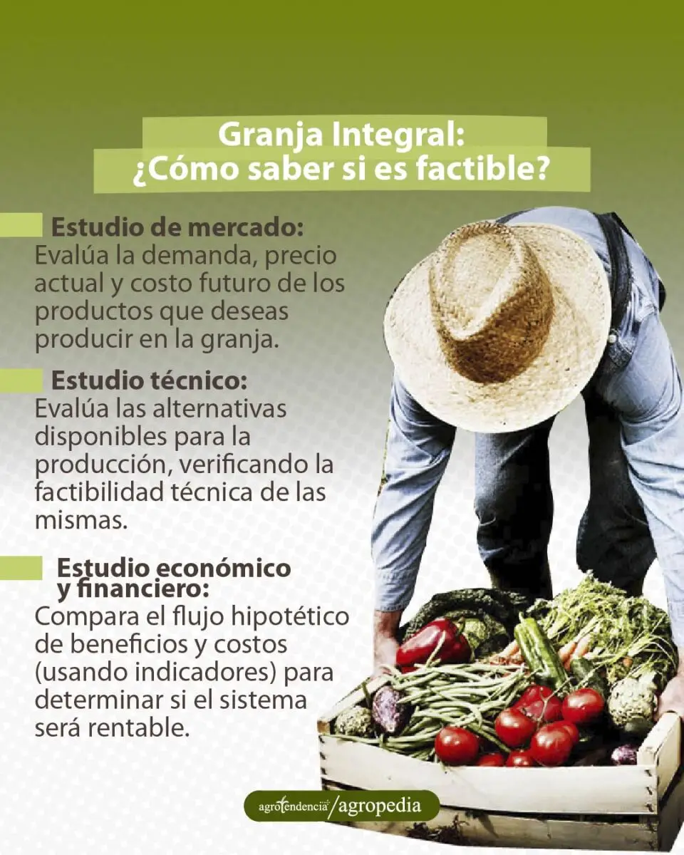 hombre con cesta llena de vegetales productos de una granja integral