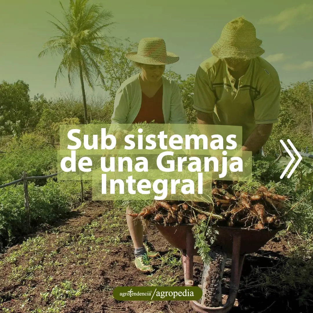 Sistemas de Granja Integral