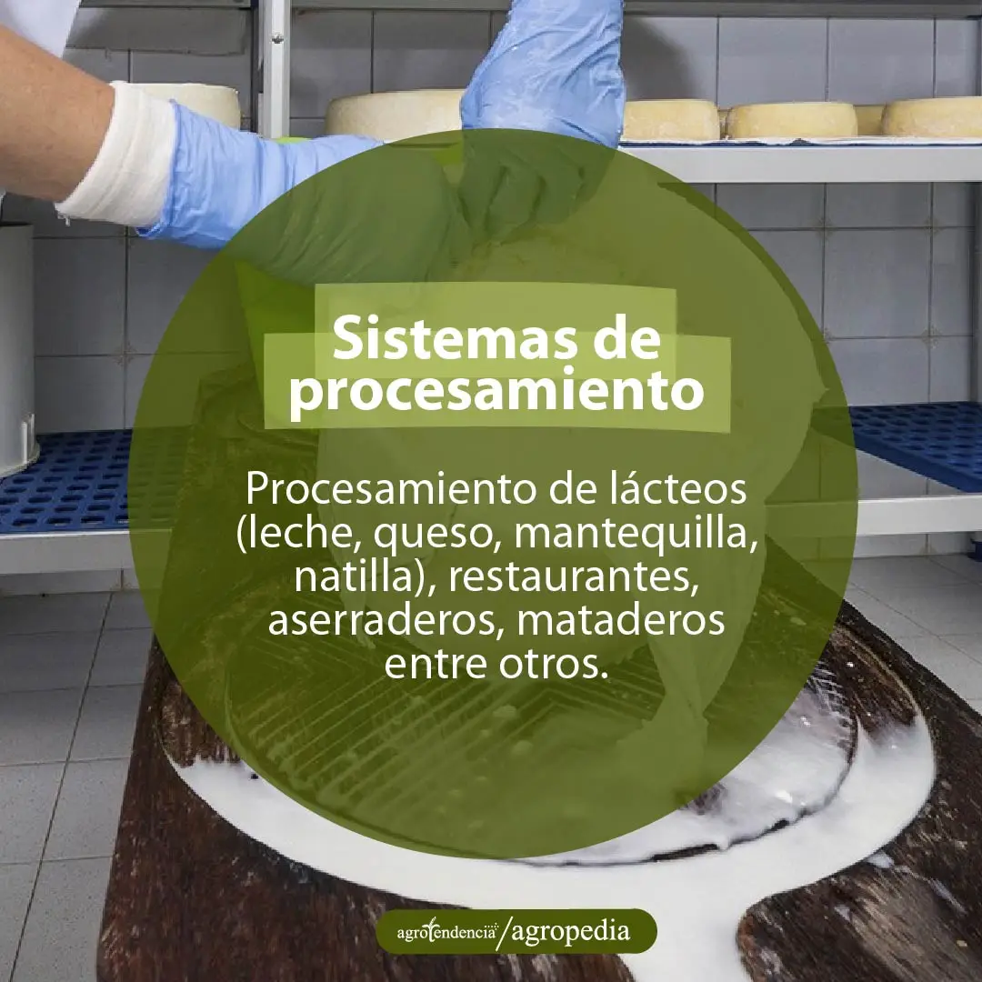 Sistemas de Procesamiento de lácteos