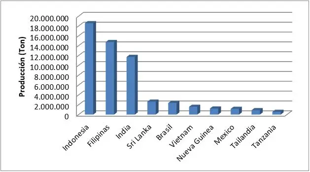 Principales países productores de Coco