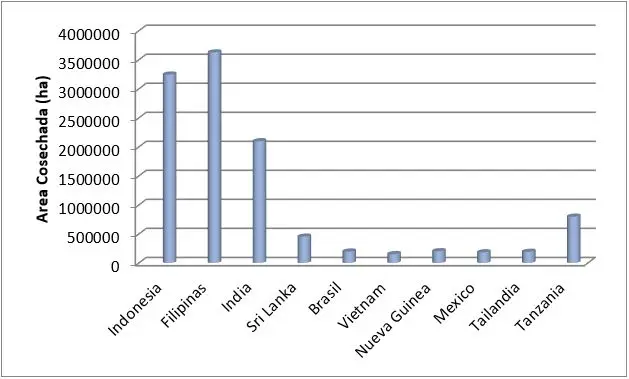 Países con mayor superficie de producción de Coco