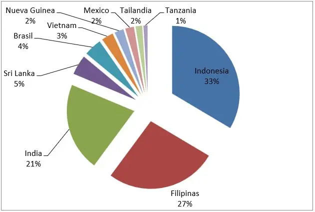 producción mundial de coco