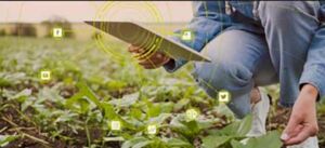 AgroMarketing Digital.  Posiciona, impulsa tu visibilidad y ventas en Internet