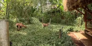 granja integral - componentes de una granja integral