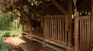 granja integral - componentes de una granja integral
