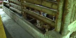 granja integral - componentes de una granja integral