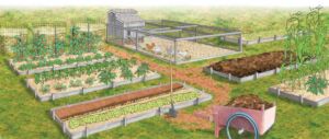 granja integral - componentes de una granja integral