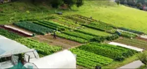 Granja integral: qué es, tipos, características y manejo