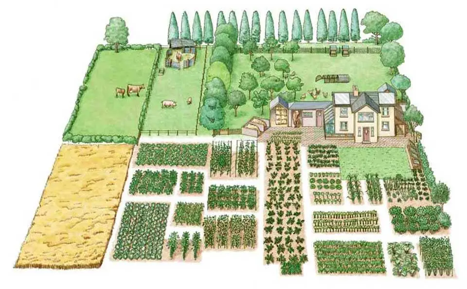 Granja Integral
