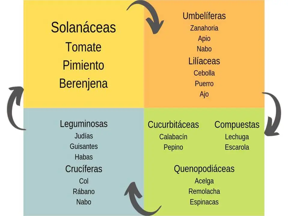 plan de rotación de cultivo en granja integral