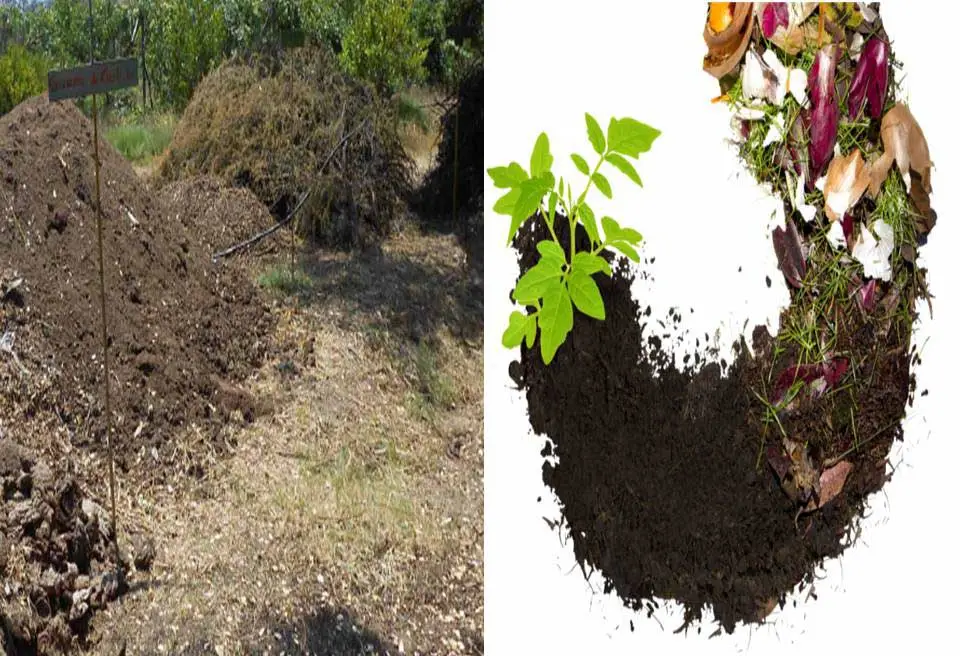 material para compostaje usado en granja integral