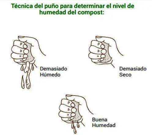 Técnica del puño para determinar humedad