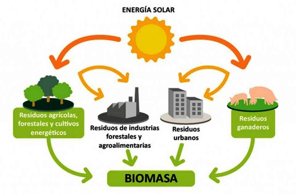 dibujo del uso de bioenergía en granja integral