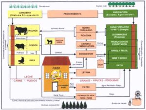 granja integral - componentes de una granja integral